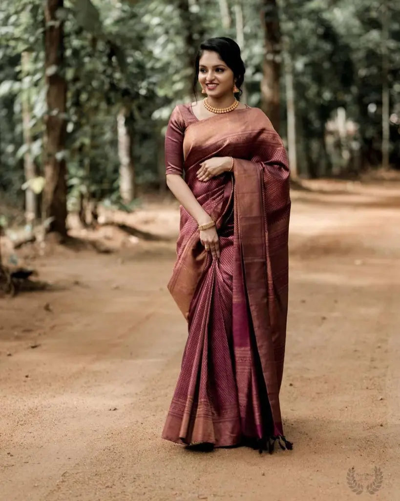 Marvelous Maroon Colored Women's Soft Silk Saree With Blouse